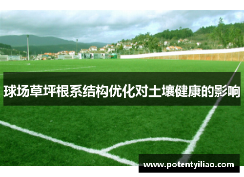 球场草坪根系结构优化对土壤健康的影响